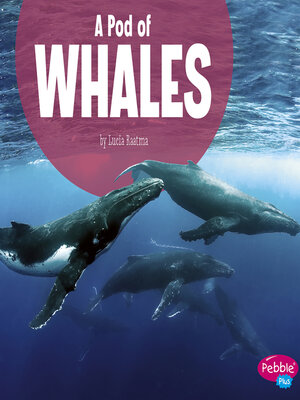 cover image of A Pod of Whales